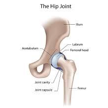 L Hip Pain